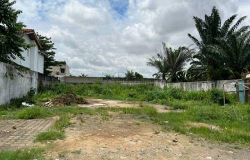 terrain sy-savane company