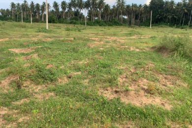 Terrain sy-savane company Adoumangan