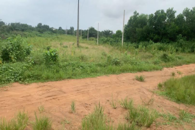 terrain Akoué Agban de sy-savane company