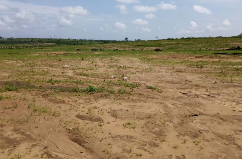 terrain Assinie sy-savane-company