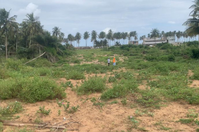 Terrain Bingerville Petit Paris de sy-savane company