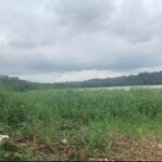 terrain cocody debarcadère sy-savane company