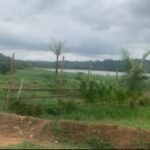 terrain cocody debarcadère sy-savane company