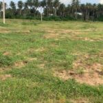 terrain Adoumangan sy-savane company