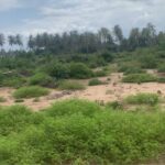 terrain sy-savane company songon petit Paris