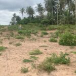 terrain sy-savane company songon petit Paris