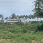 terrain sy-savane company songon petit Paris