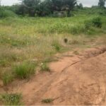 terrain bingerville akou-agban sy-savane company