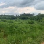 terrain Azaguié m bromé sy-savane company