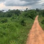 terrain Azaguié m bromé sy-savane company