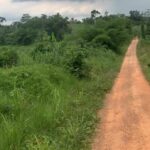 terrain Azaguié m bromé sy-savane company