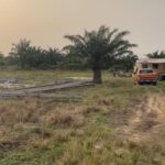 WhatsApp Image 2026-02-16 at 14.41.41