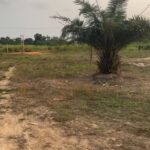 WhatsApp Image 2026-02-16 at 14.41.42 (1)