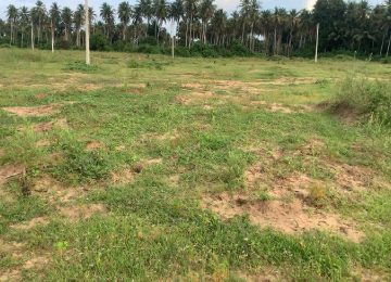 Terrain sy-savane company Adoumangan