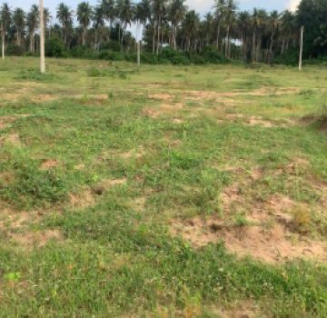 Terrain sy-savane company Adoumangan