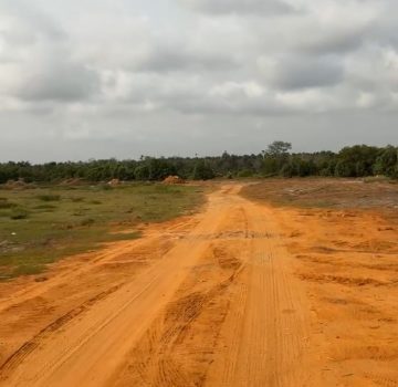 WhatsApp Image 2026-02-16 at 14.41.41 (2)