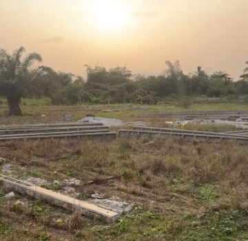 WhatsApp Image 2026-02-16 at 14.41.42